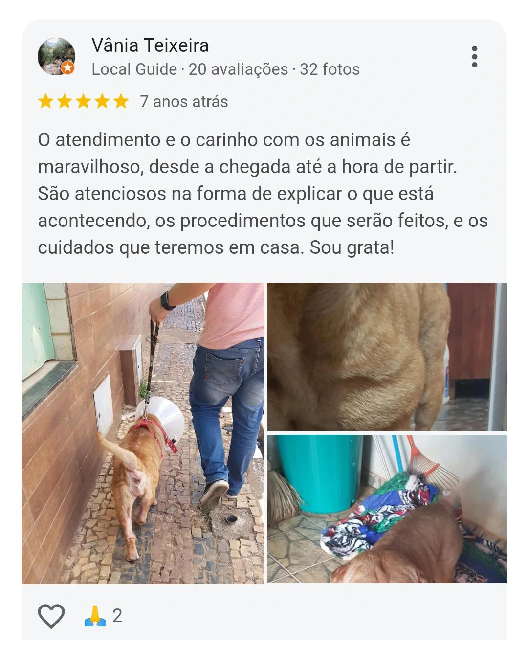 Avaliação Pet Vida