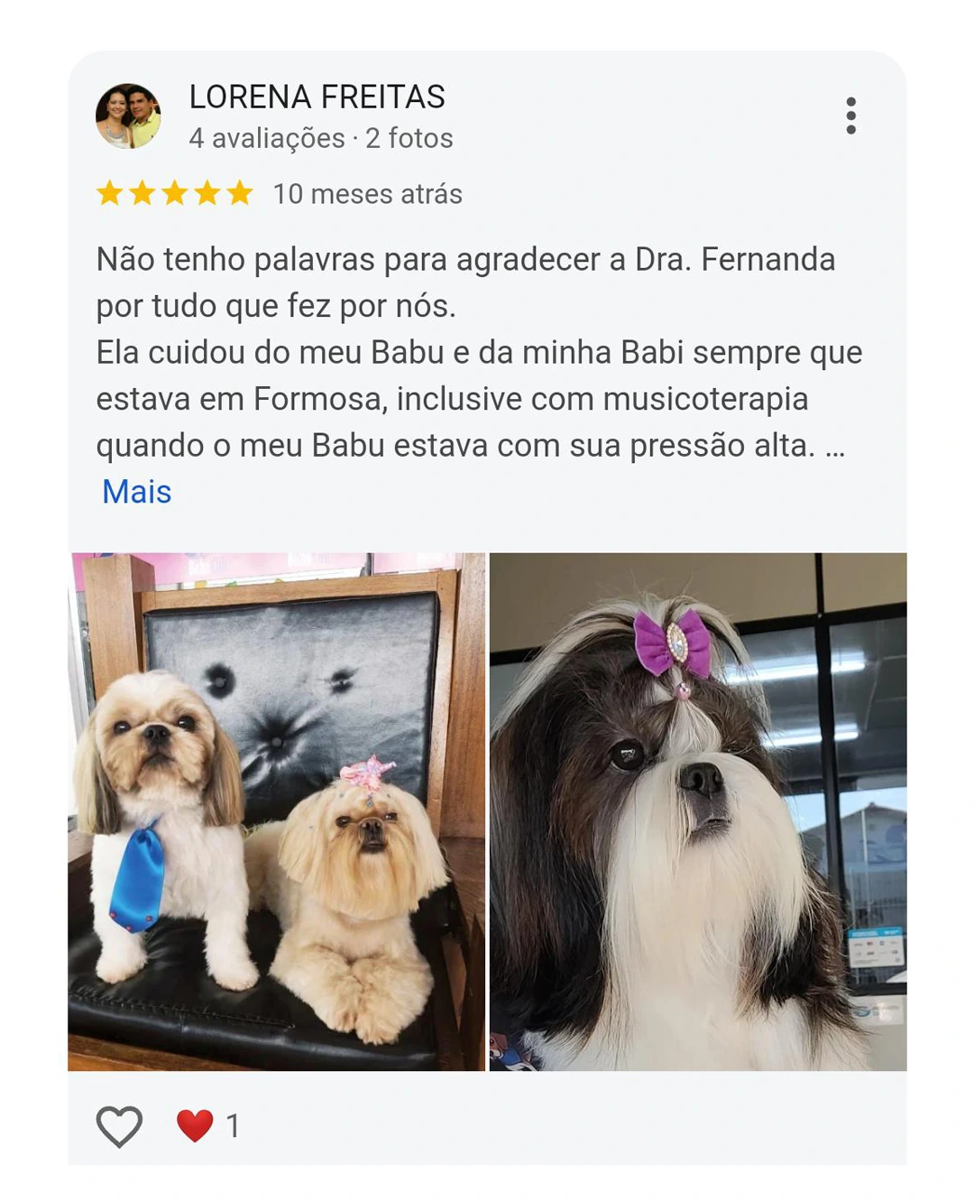 Avaliação Pet Vida